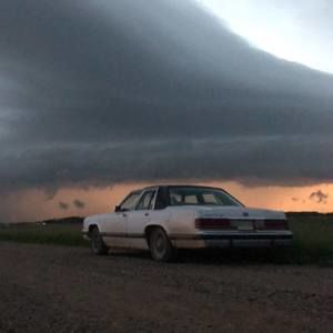 Meet your Posher, Randall